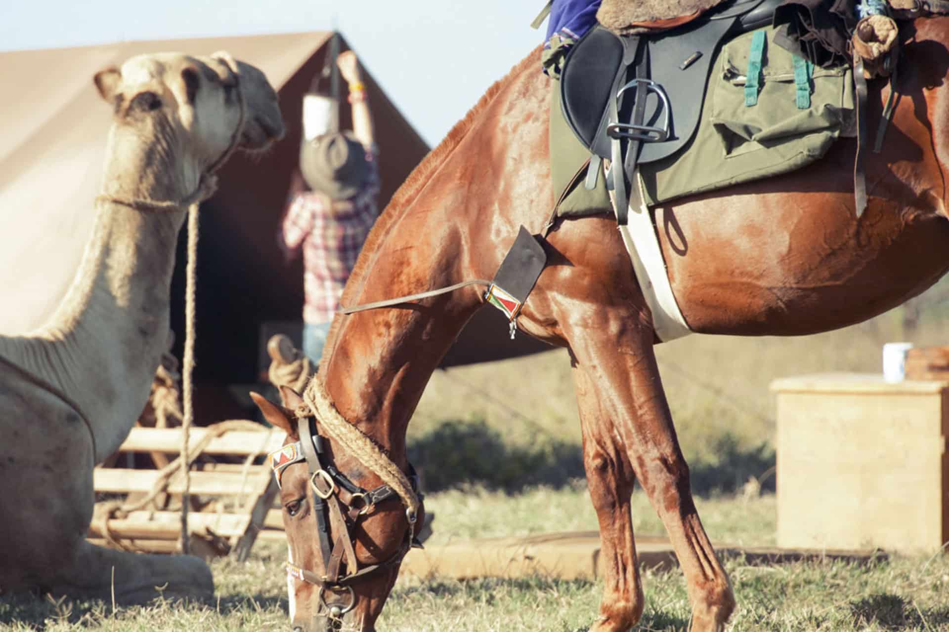 A horseback safari at Ol Malo Nomad Camp in Kenya &ndash; an African bucket list experience.