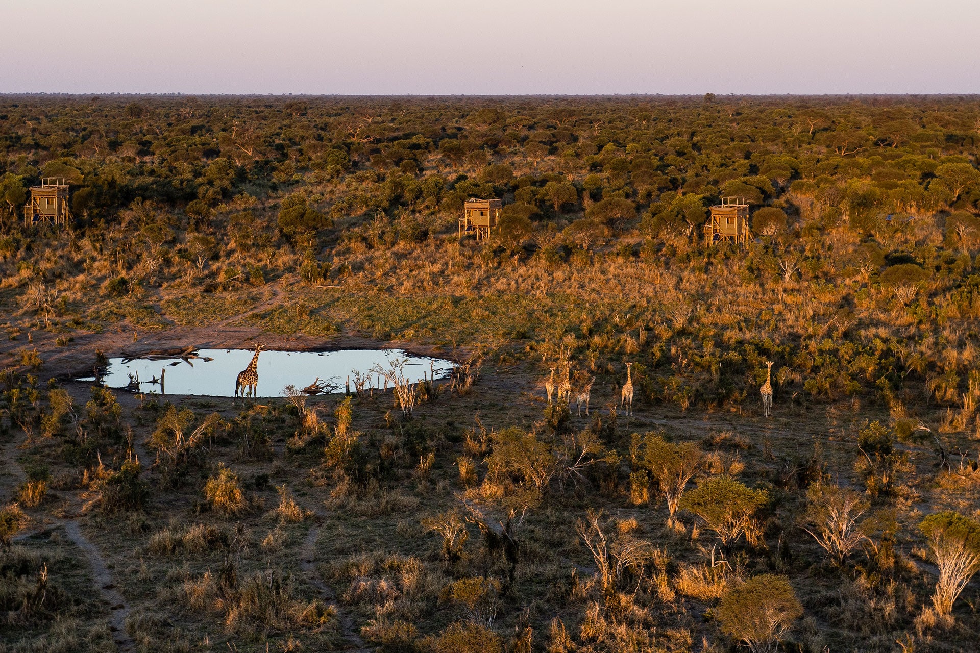 Three Skybeds overlooking waterhole with giraffe 