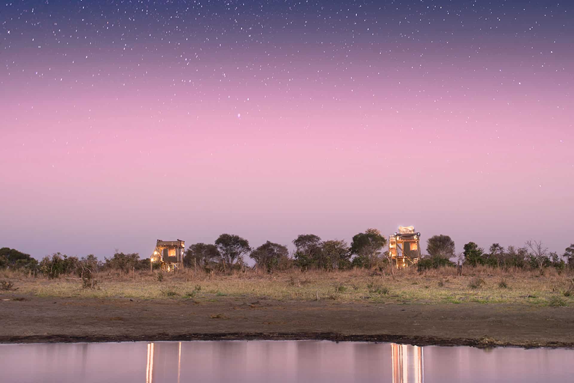 A sky full of stars and a Skybed by Natural Selection