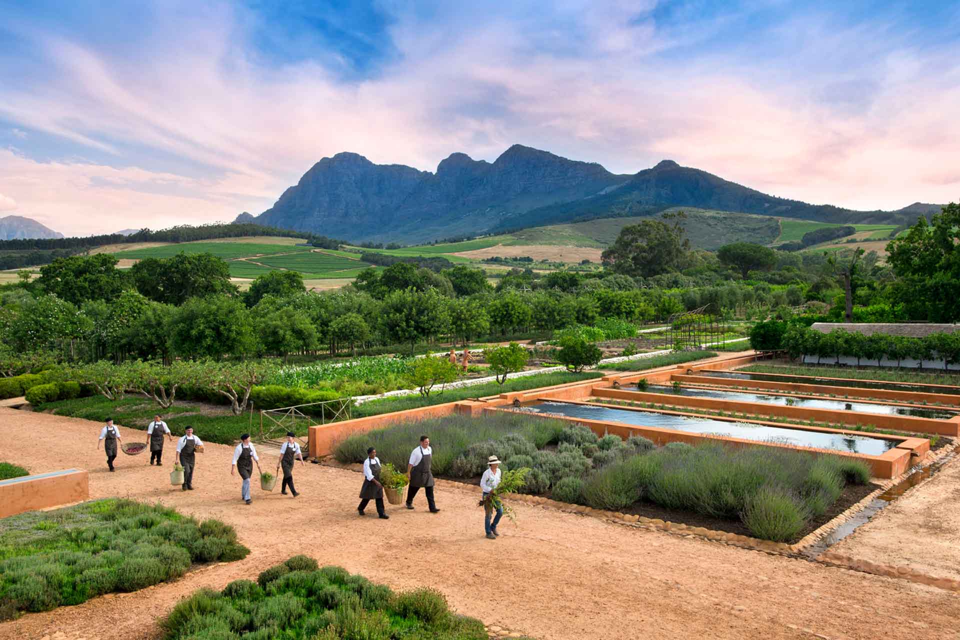 Babel chefs collecting fresh ingredients from the fruit and vegetable garden at Babylonstoren &ndash; home to Babel, one of the top Cape Winelands restaurants.