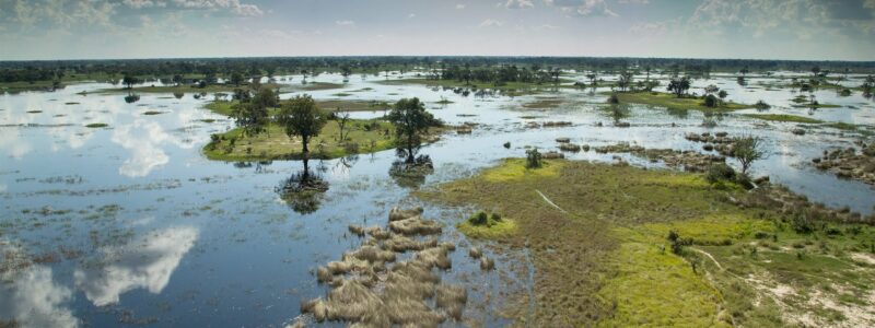 Dukes_0000s_0001_Exp-shutterstock_681243676