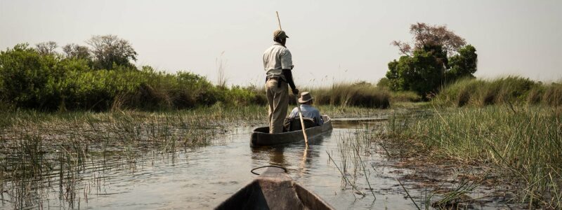 Dukes_0000s_0002_Exp-shutterstock_512442160-2