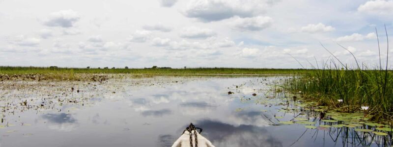 Dukes_0000s_0003_Exp-okavango-delta-instagram-2