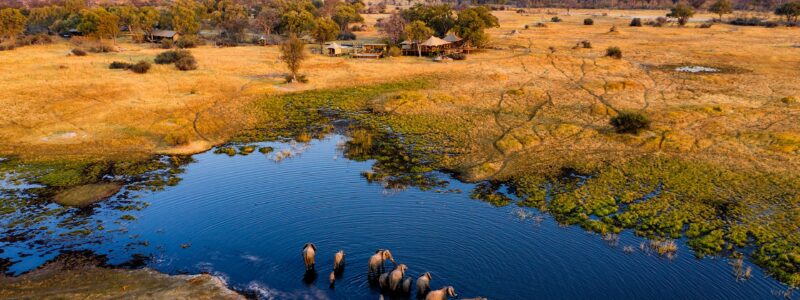 Tuludi_0001s_0001_Acc-Tuludi - Arial ellies in front of camp1
