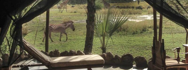 Chem Chem Lodge_0001s_0000_Chem-Chem-Lodge-Gallery-10