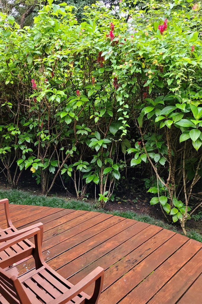 Doors leading out from the bedroom at Lake Duluti - Arusha Hotel Tanzania