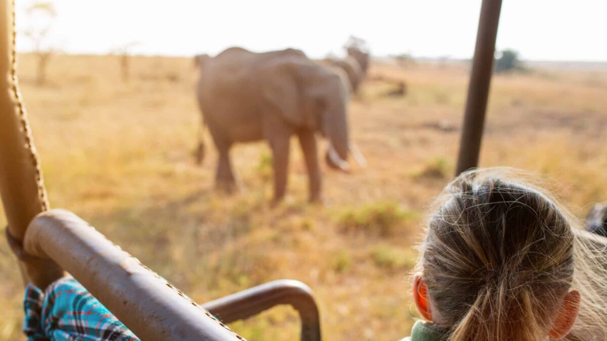 African Family Safari Feature image option 2
