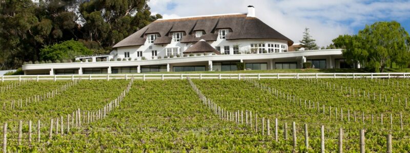 African Family Safari-Jumbari-Mont-Rochelle