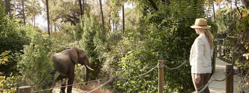 African Family Safari Victoria Falls River Lodge (1)