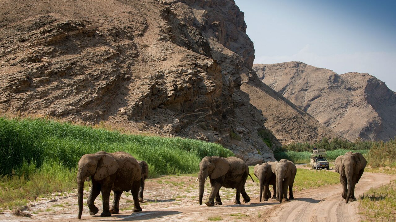 Hoanib Valley Camp Safari to Namibia