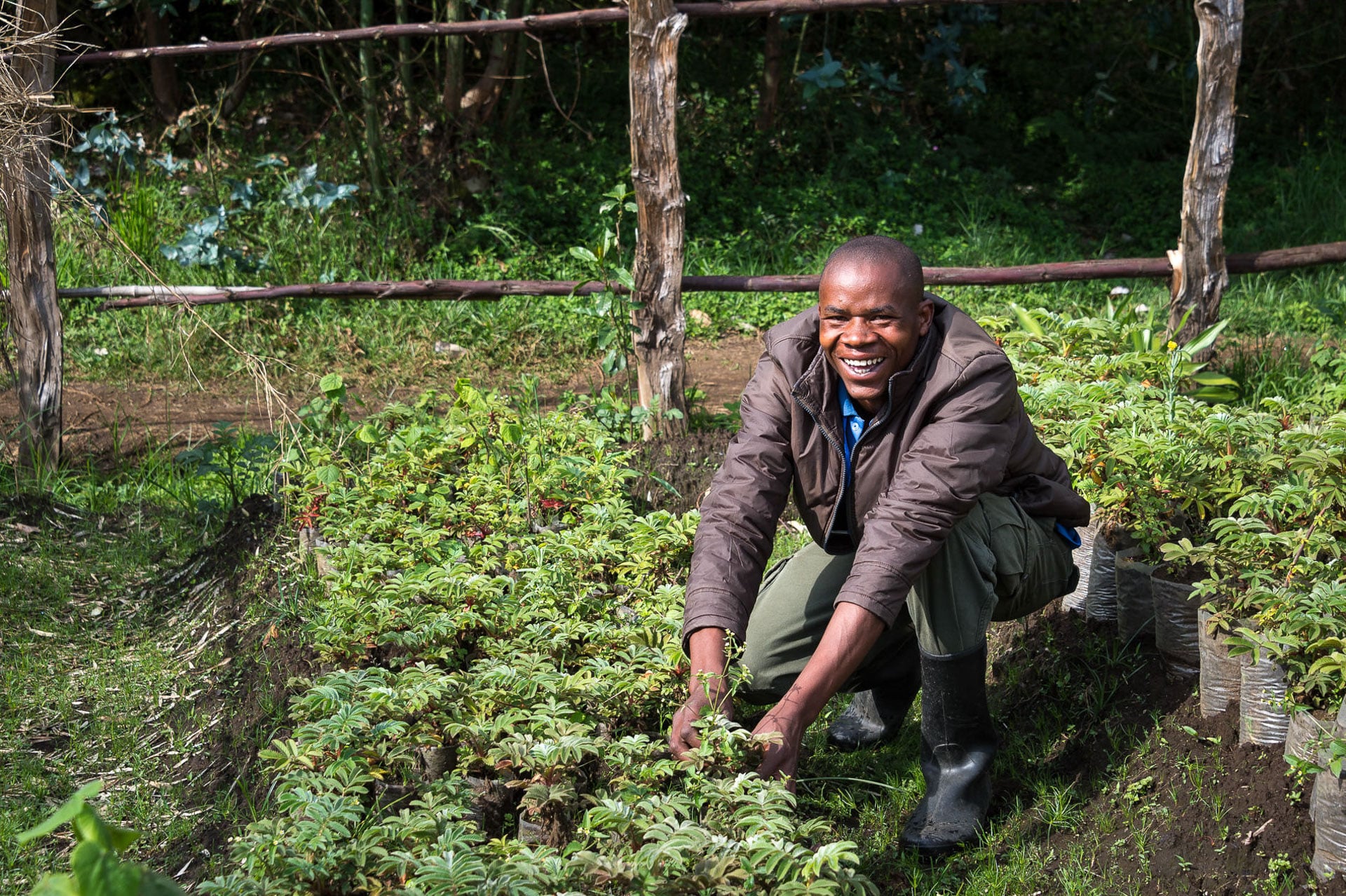 Planting trees for reforestation at Bisate Lodge &ndash; one of our top rated eco lodges in Africa. 