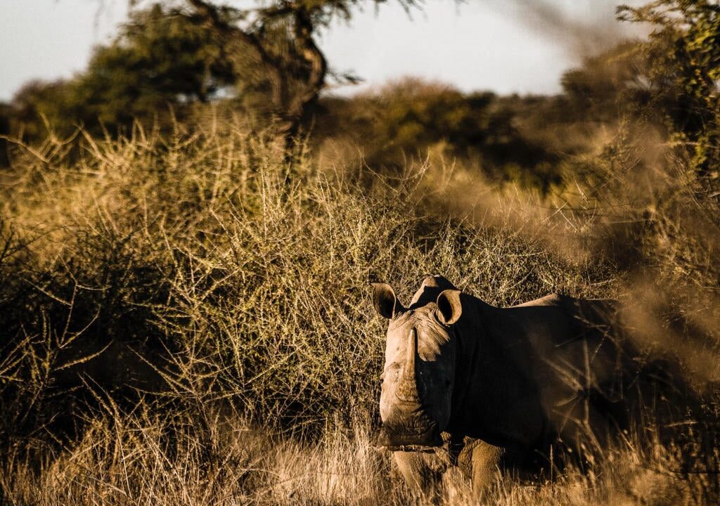 Zannier Hotels Omaanda Safari to Namibia