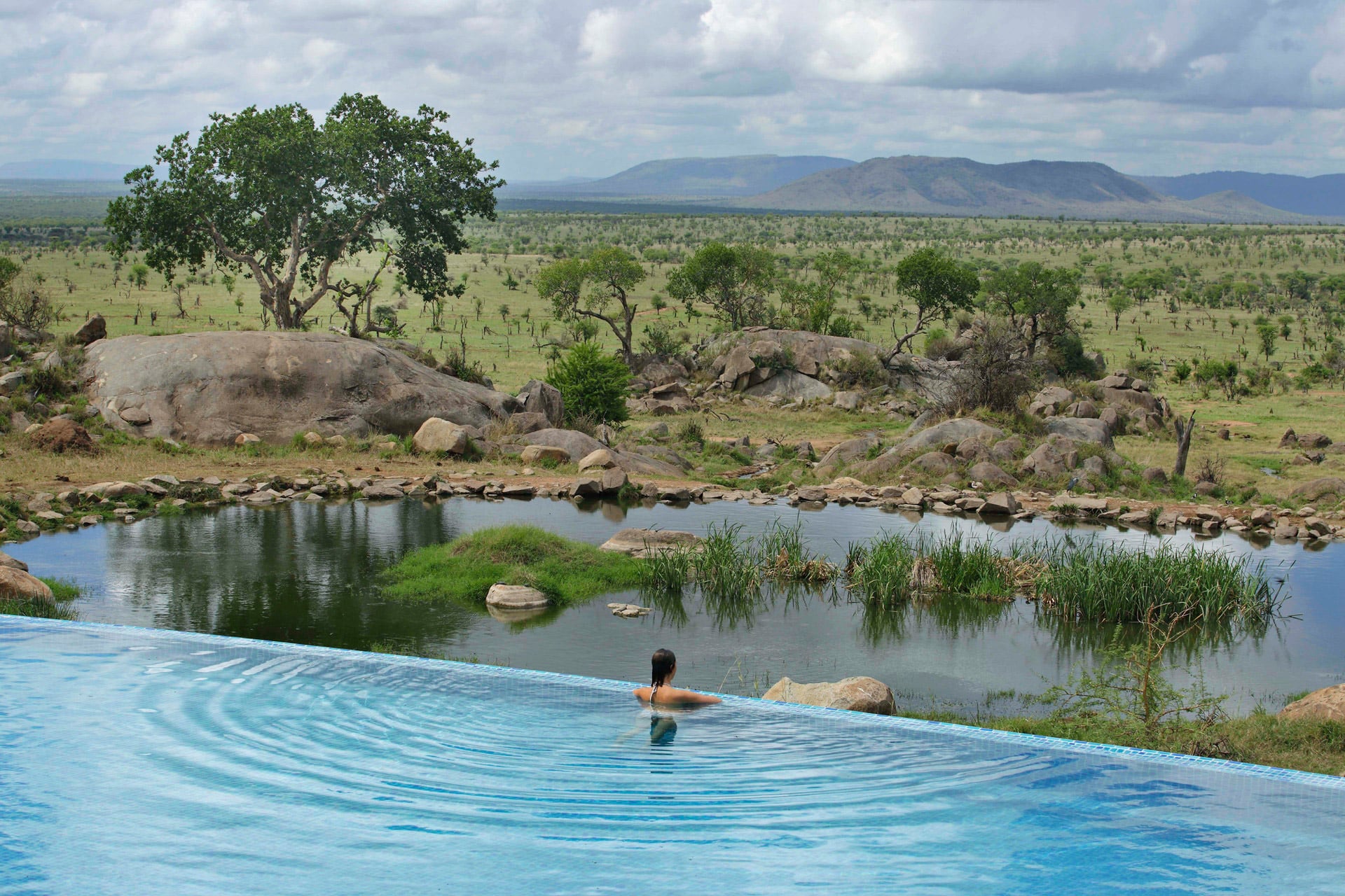The infinity pool overlooking an active waterhole at Four Seasons Serengeti &ndash; one of our top rated eco lodges in Africa. 