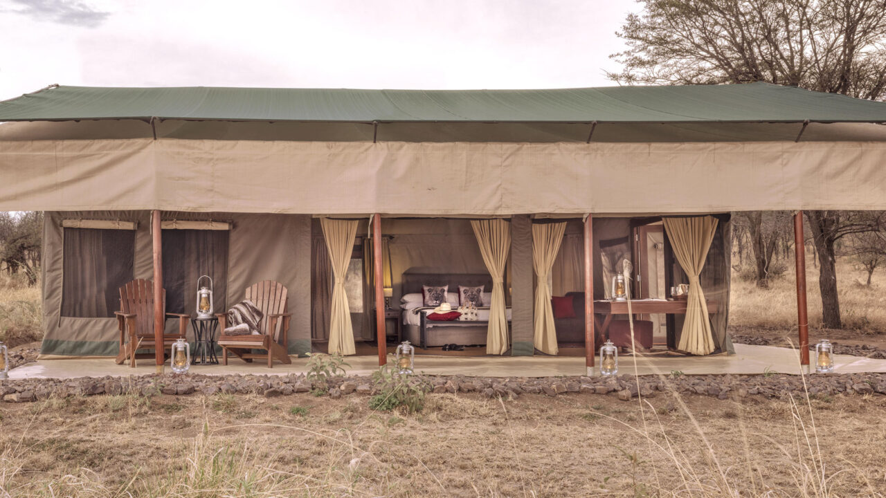 Nimal Central Serengeti - Africa wonders