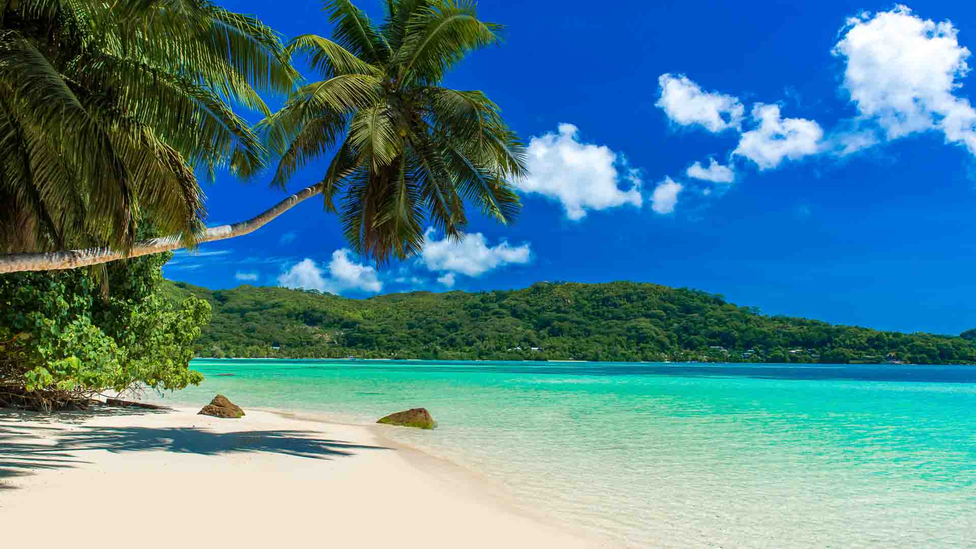 Anse &agrave; la Mouche beach in the Seychelles