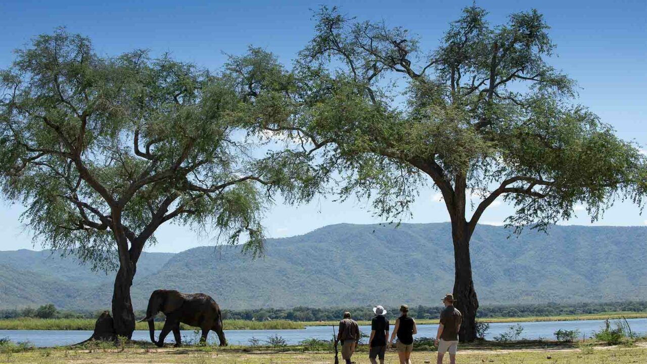 Nyamatusi Camp - Zimbabwe Victoria Falls