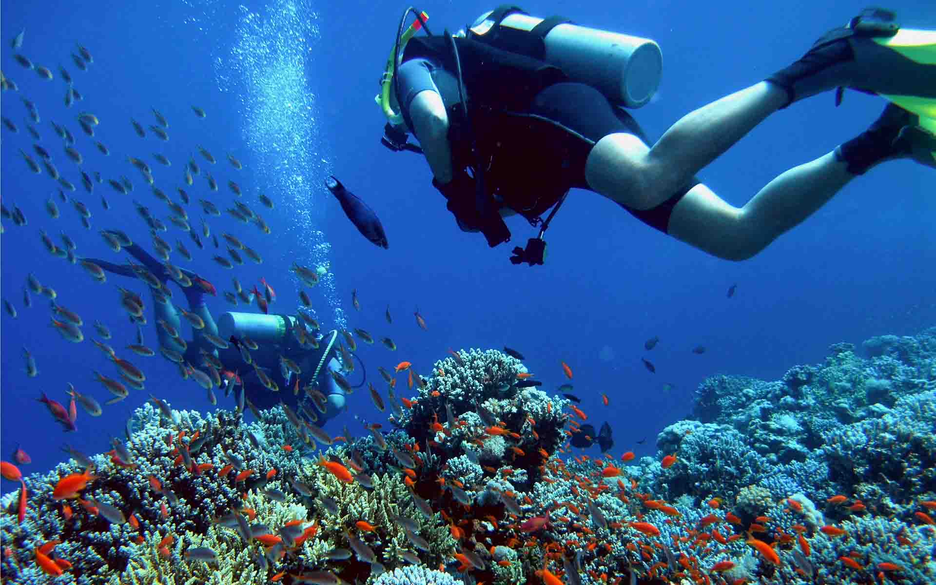 Two people diving over a coral reef in the Red Sea &ndash; one of the Seven Natural Wonders of Africa.