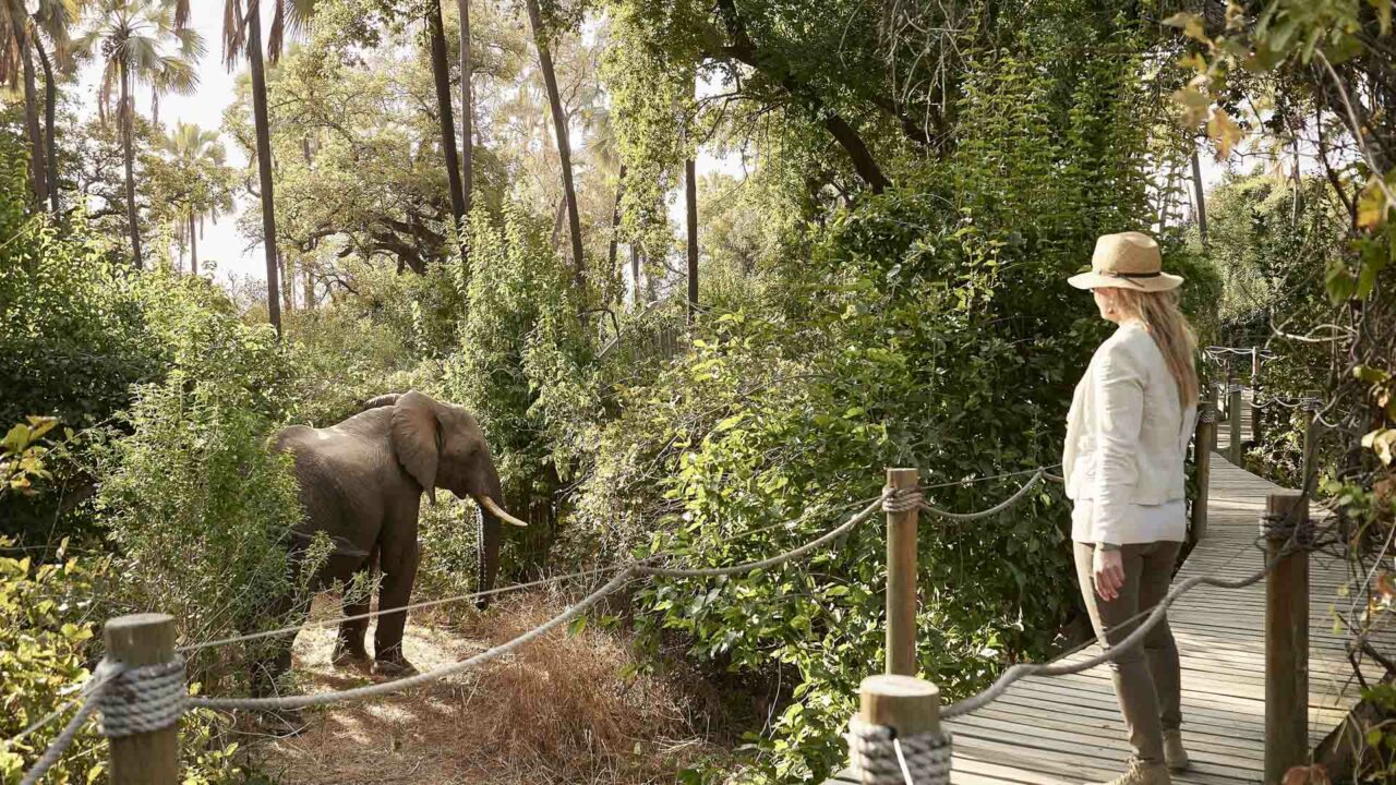 Victoria Falls River Lodge - Zimbabwe Victoria Falls