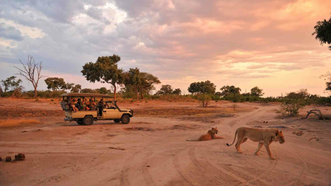 Somalisa Camp - Zimbabwe Victoria Falls