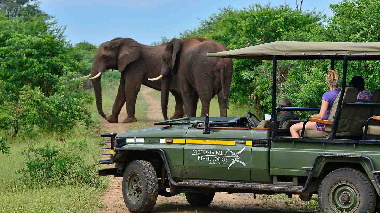 victoria-falls-river-lodge-92