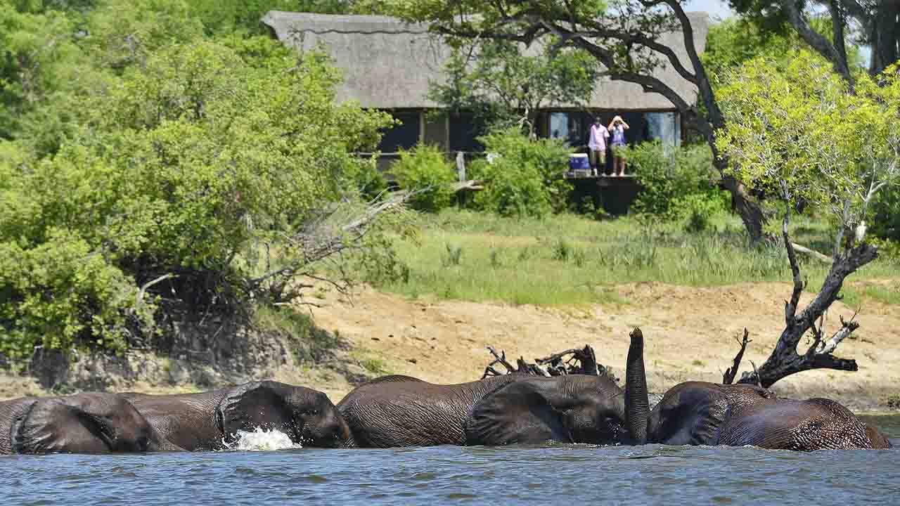 Victoria Falls River Lodge - Zimbabwe Victoria Falls