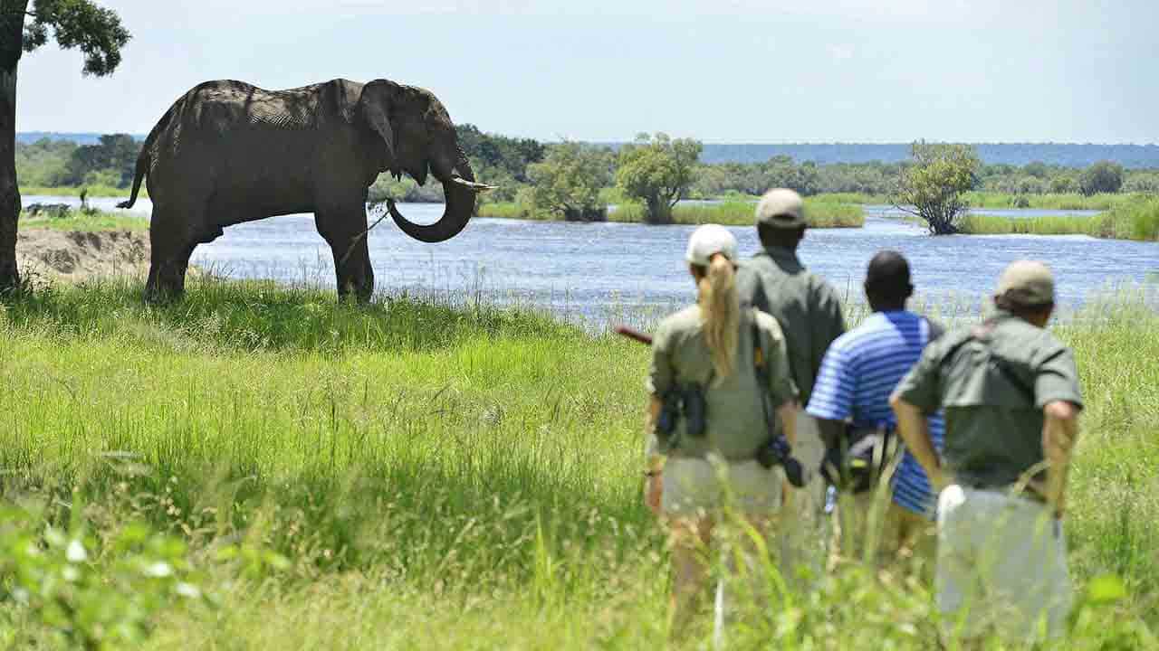 Victoria Falls River Lodge - Zimbabwe Victoria Falls