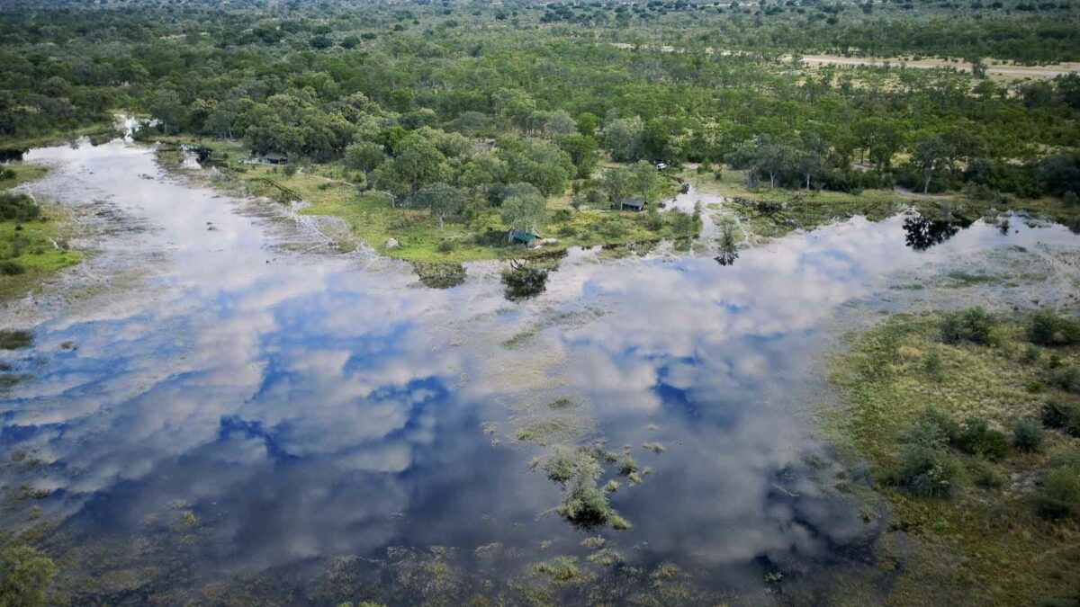 Victoria Falls natural world wonder. Trees, vegetation, lake. Botswana safari.