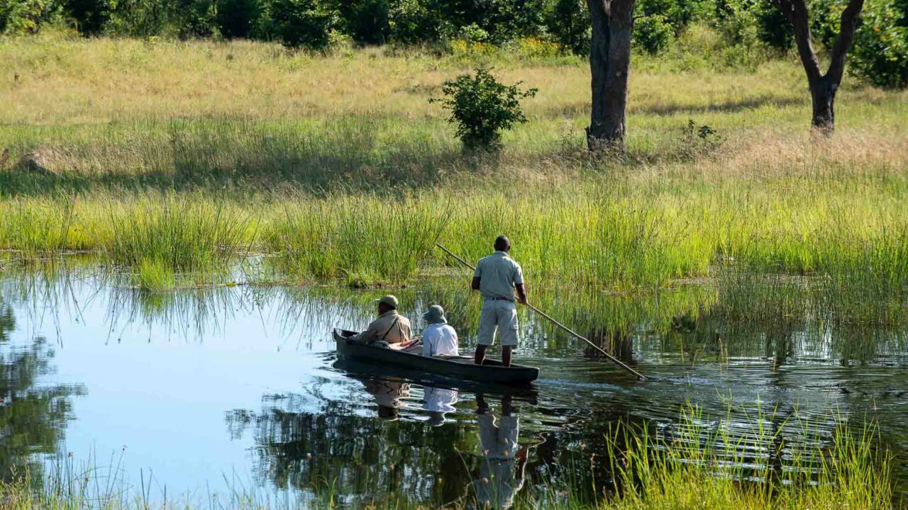 Victoria Falls to Botswana Khwai Leadwood_6