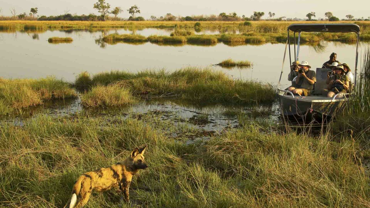 Victoria Falls to Botswana Selinda Camp