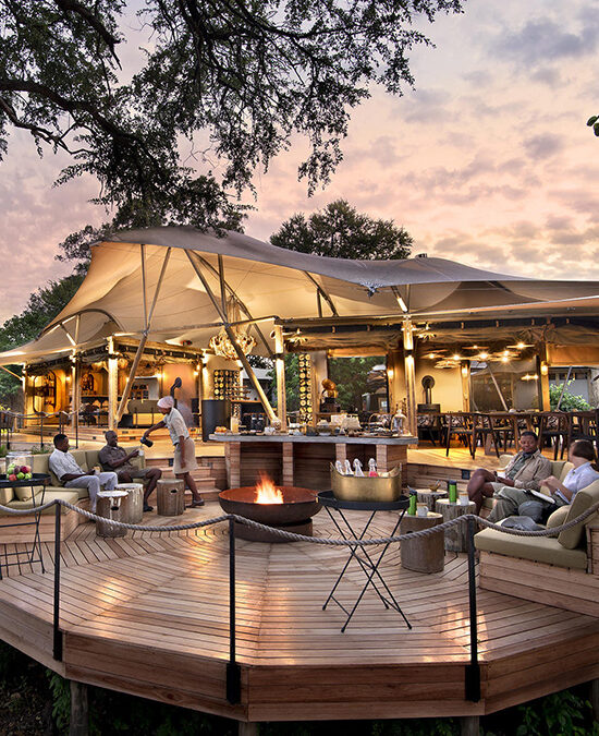 Khwai Leadwood featured image