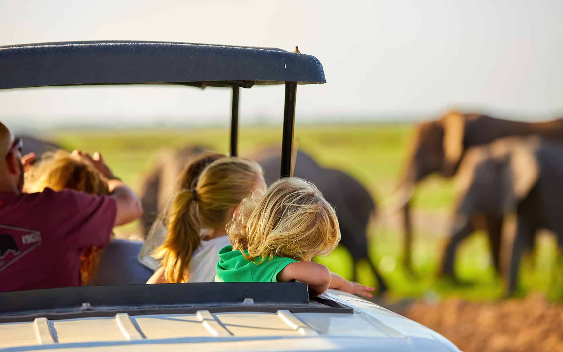 Travel Tanzania and bring the children. 