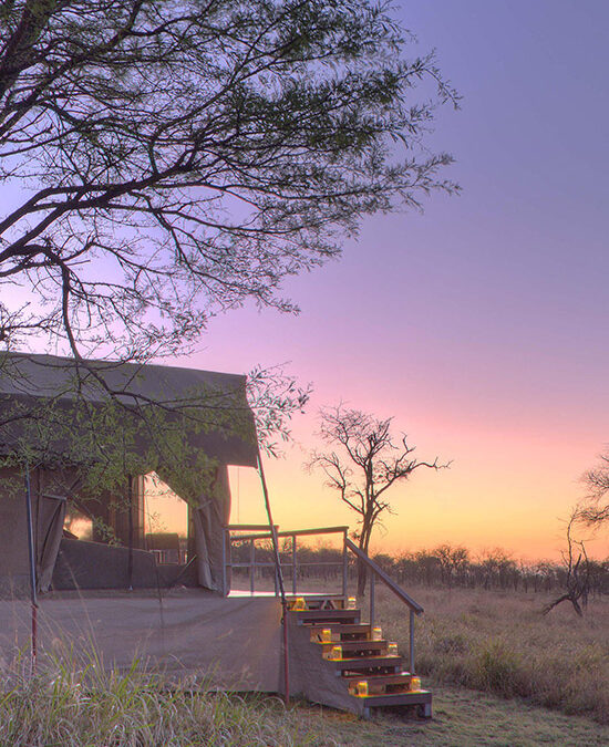 Dunia Camp Feature images_0002_ASILIA DUNIA CAMP