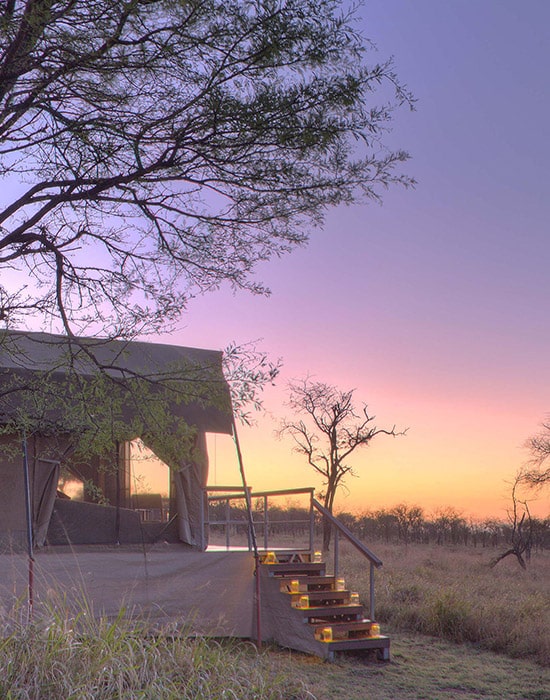 Dunia Camp Feature images_0002_ASILIA DUNIA CAMP