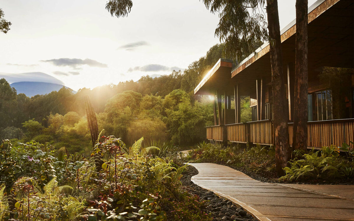 One&Only Gorilla's Nest