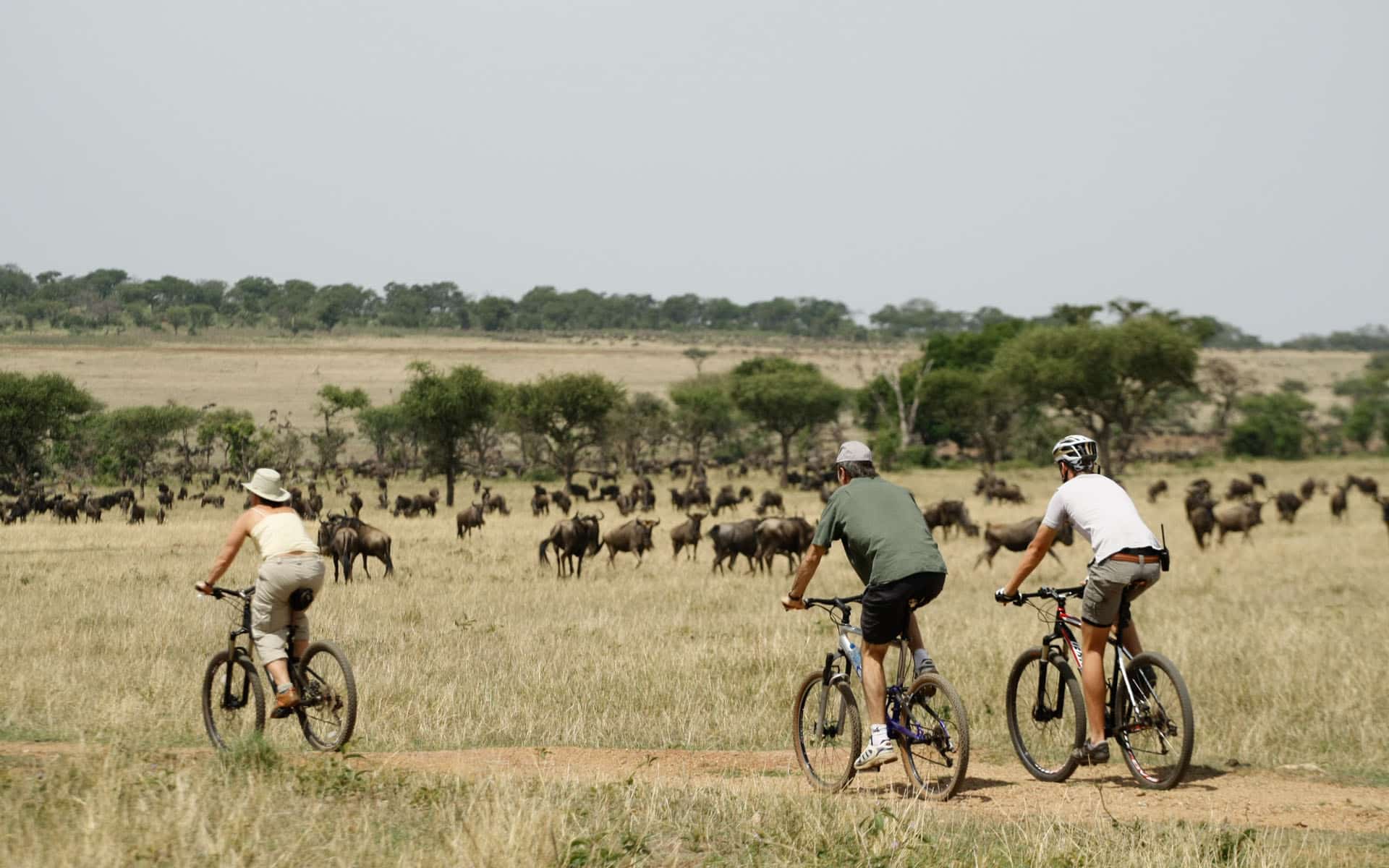 Mountain biking through the bush is a great choice for the responsible traveler. 