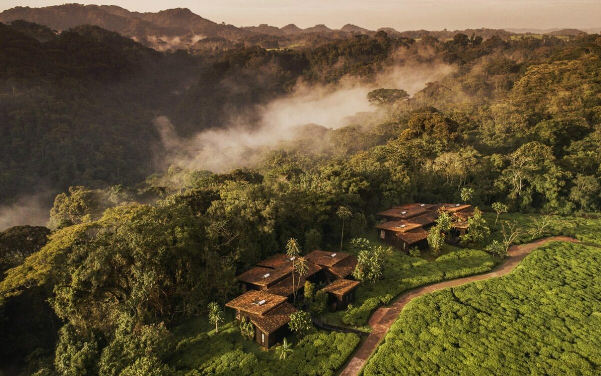 One & Only Nyungwe House