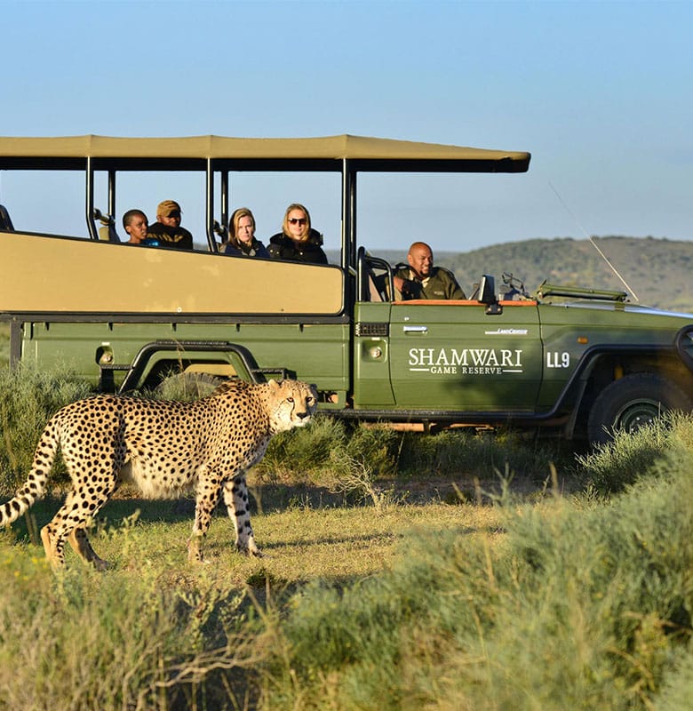 View of a game drive vehicle at Shamwari