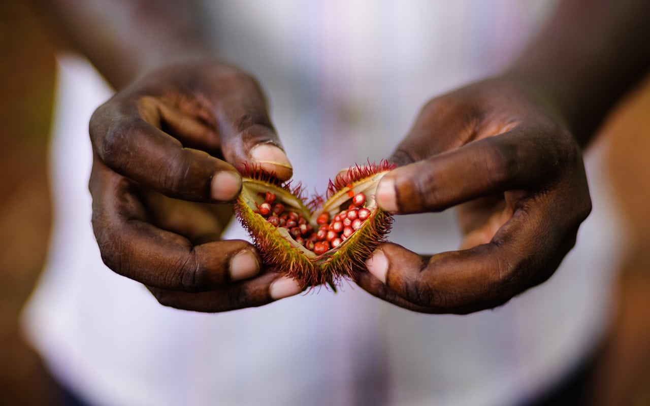 A spice pod broken up at Zuri Zanzibar with Ker & Downey&reg; Africa