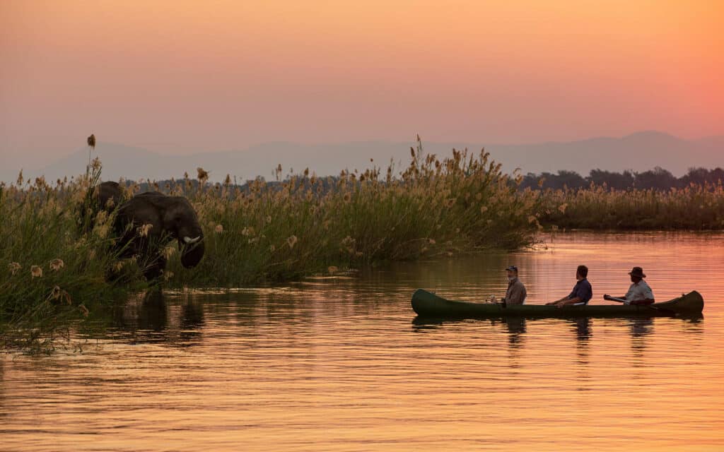 Canoeing while the sun sets over the Zambezi River 