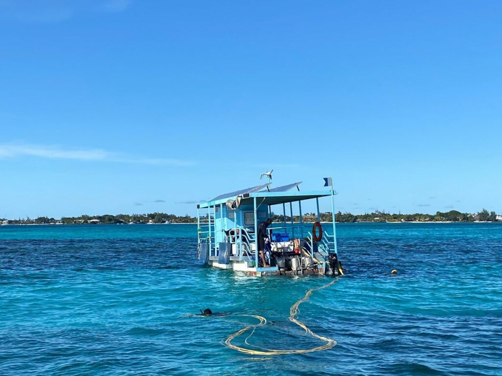 The unique solar platform