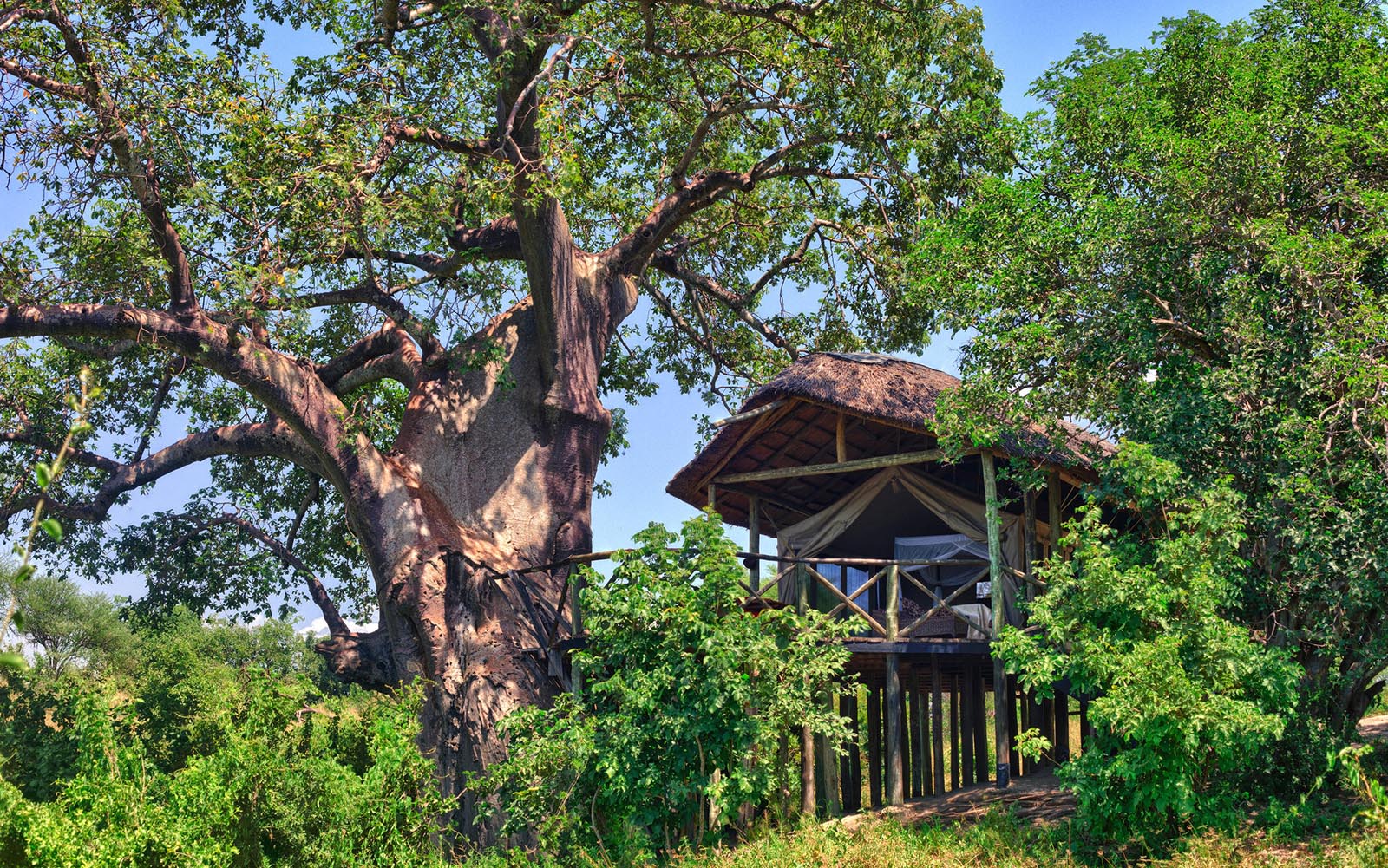 Raised tented suite at Mbali Mbali Tarangire River Camp, one of the lodges in Tanzania with Ker & Downey Africa