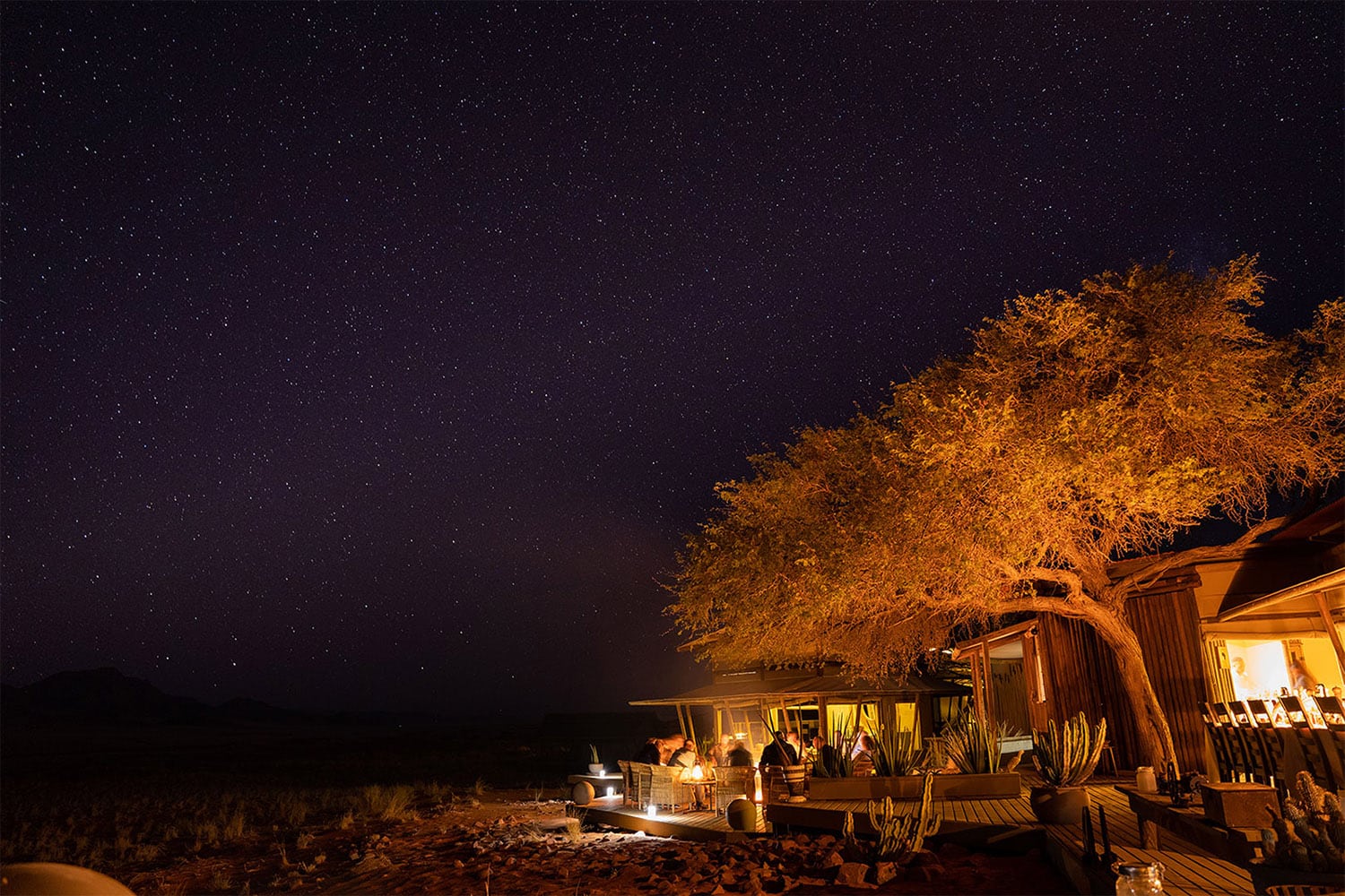 Starry skies at Dune Camp