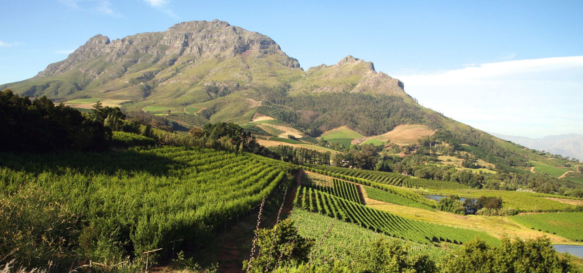 10 reasons to visit South Africa - The Cape Winelands