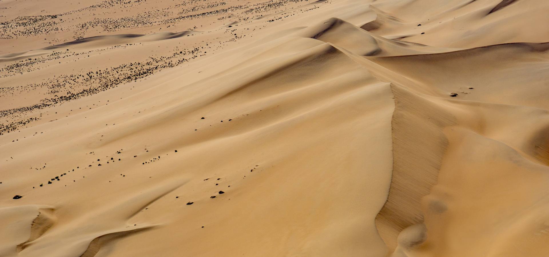 Safari in April - Namibia Namib Desert