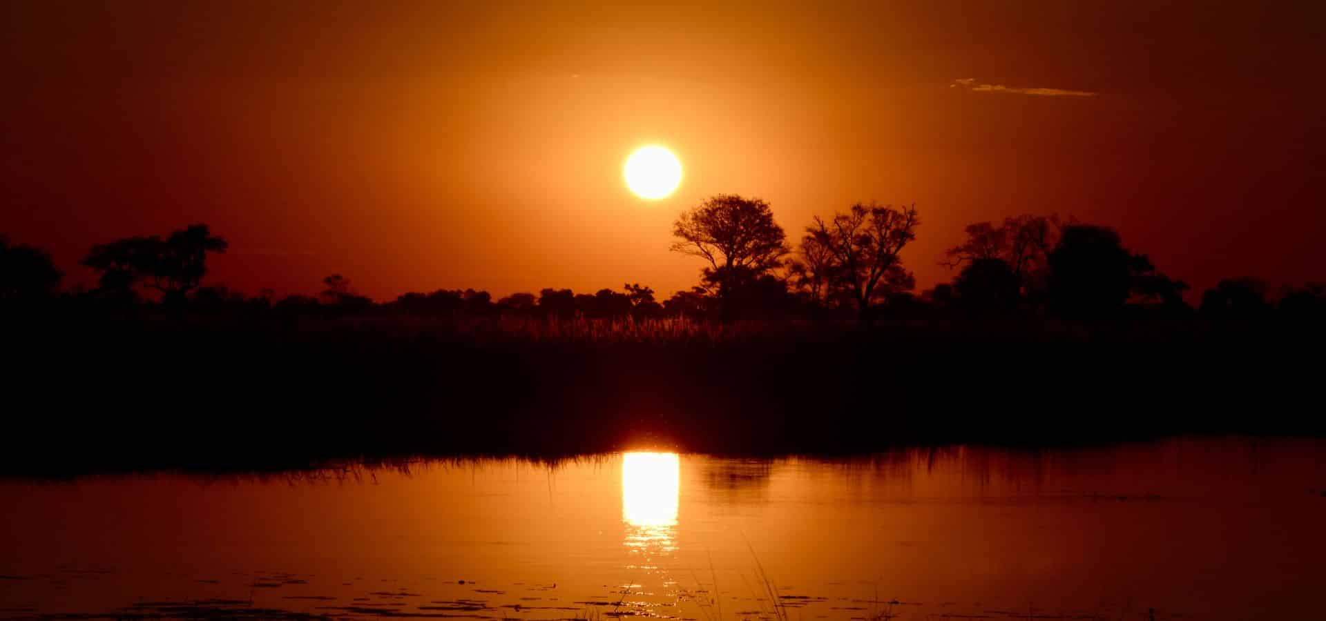 Safari in July - Botswana Okavango Delta National Park