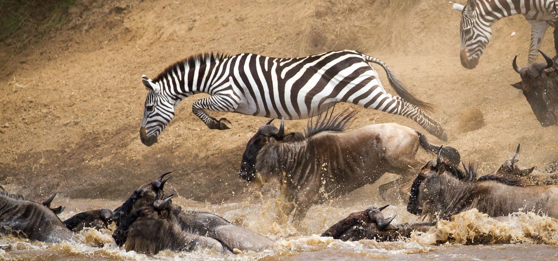 Safari in June - Tanzania Serengeti Great Wildebeest Migration