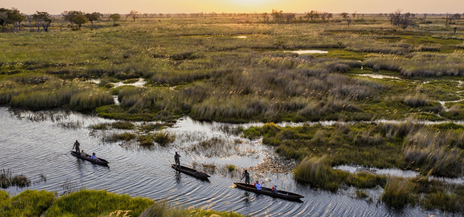 Safari in May - Botswana Okavango Delta National Park