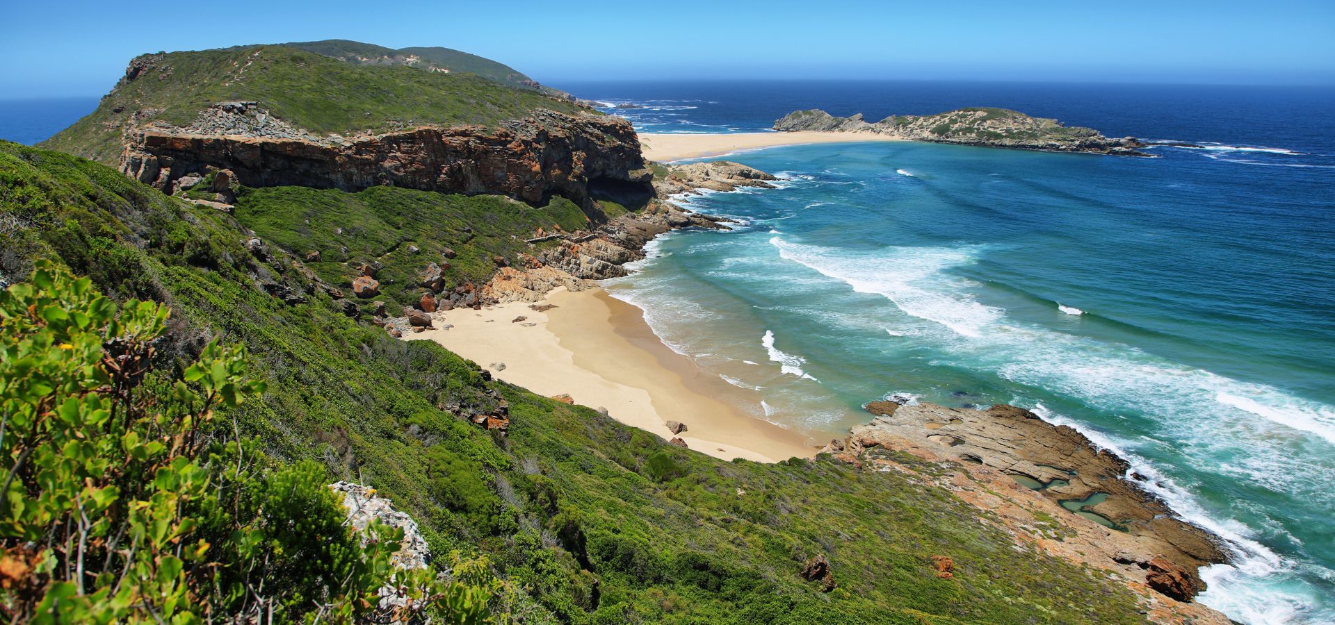 Safari calendar 2025 - South Africa The Garden Route Plettenberg Bay
