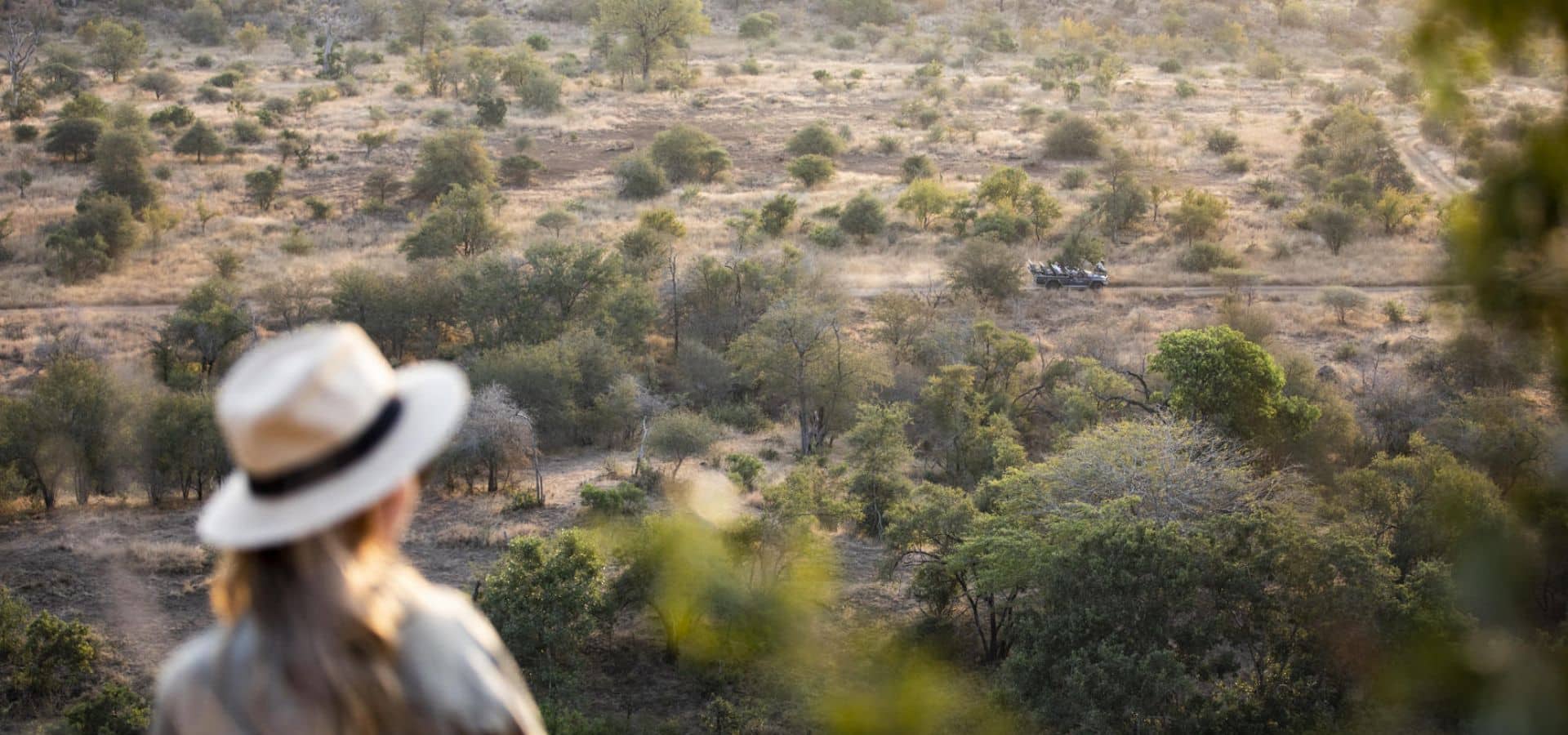 Summer Safari - Kruger National Park