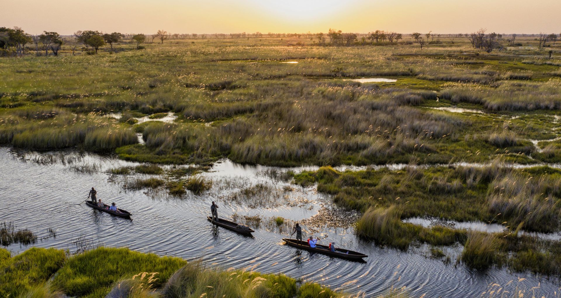 Safari in March - Botswana Okavango Delta National Park